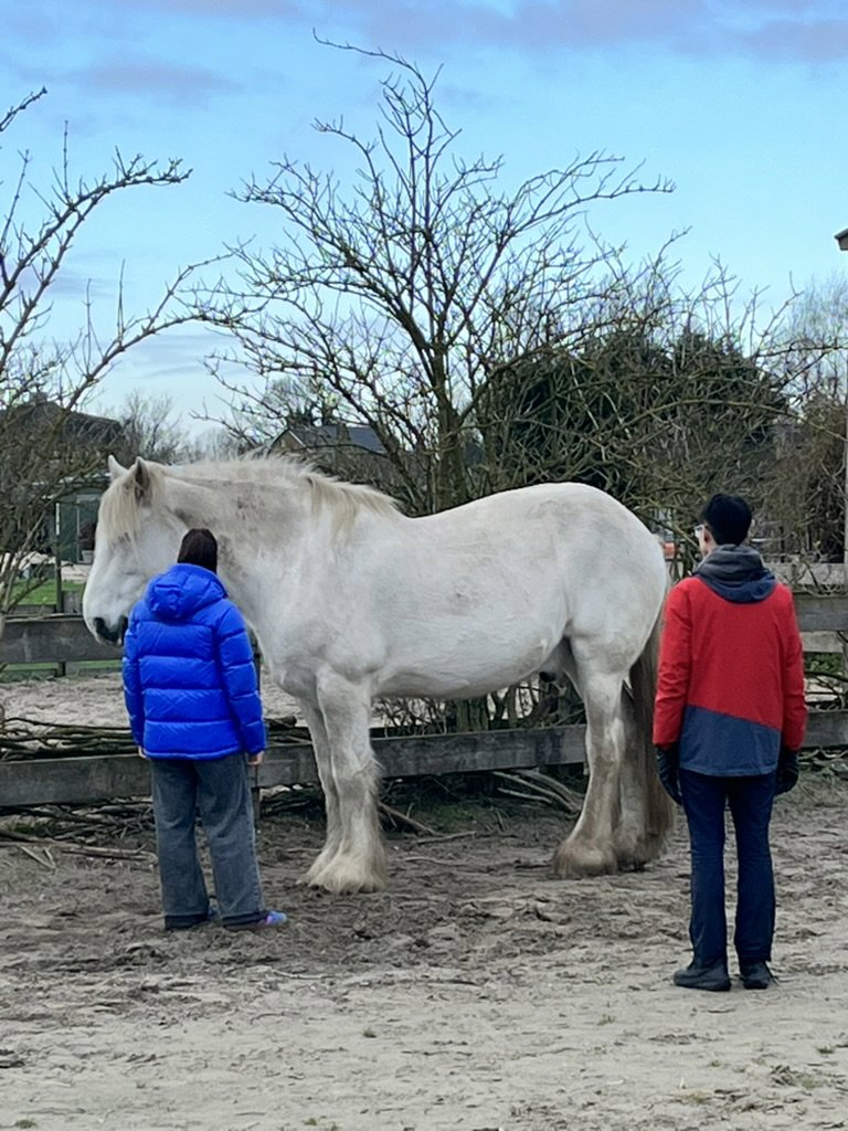 Twee studenten maken contact met de grote Shire
